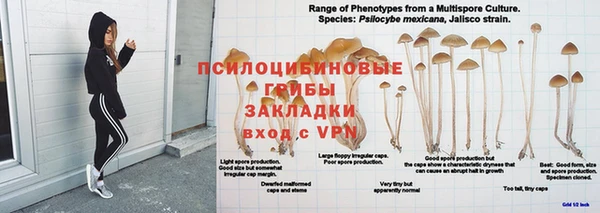 герыч Михайловка