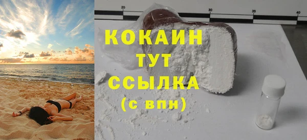 соль ск Михайлов