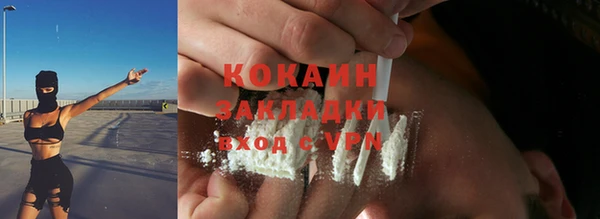 соль ск Михайлов