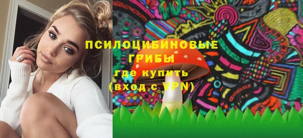 шишки Медногорск