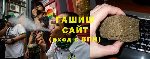 амф Бородино